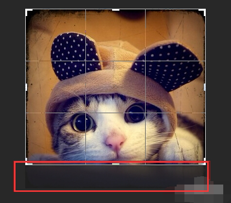 剪裁圖片 剪裁圖片