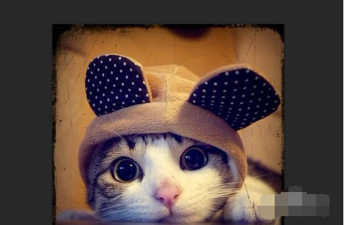 截取圖片 截取圖片