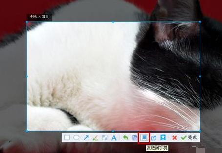 截圖保存 截圖保存