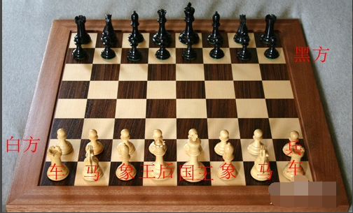 玩國際象棋 玩國際象棋