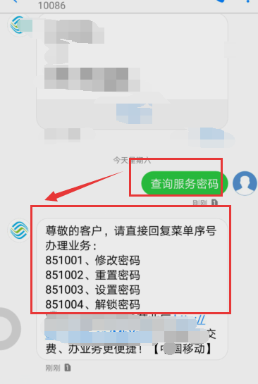 手機(jī)服務(wù)密碼 手機(jī)服務(wù)密碼