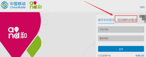 服務(wù)密碼 服務(wù)密碼