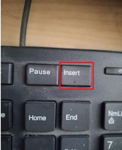 鍵盤失靈 鍵盤失靈