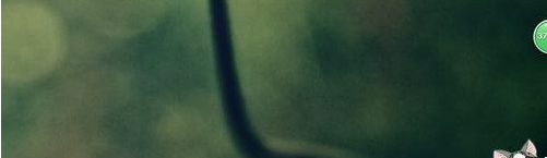 網(wǎng)絡(luò)受限 網(wǎng)絡(luò)受限