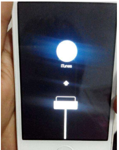 連接電腦 連接電腦