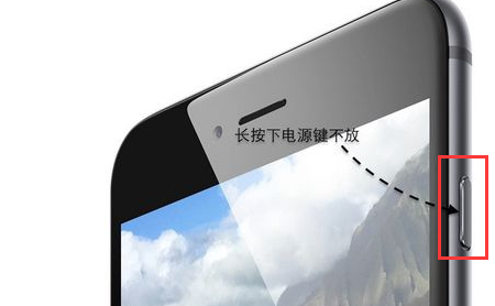 蘋果死機(jī) 蘋果死機(jī)