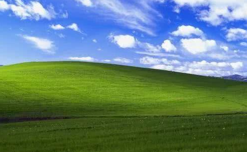 1620802621114318.png image.png