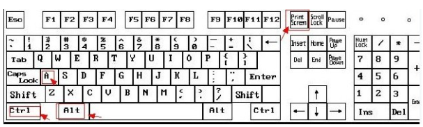 1633763745602703.png image.png