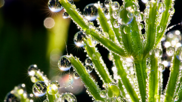 1647477577197257.png image.png