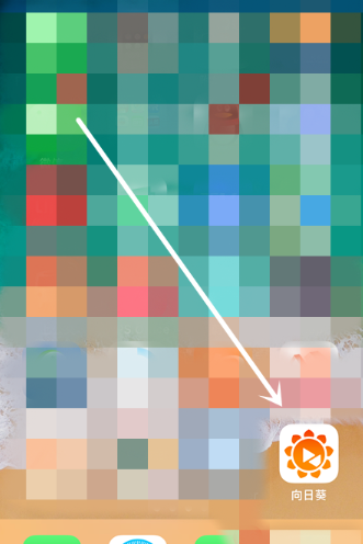 手機(jī) 手機(jī)