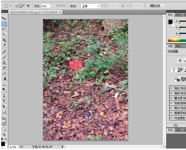 圖像處理軟件 圖像處理軟件