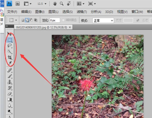 圖像處理軟件 圖像處理軟件