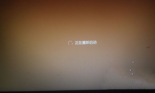 1486346772929701.jpg 1.jpg