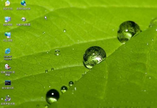 1488160797391374.jpg 5.jpg