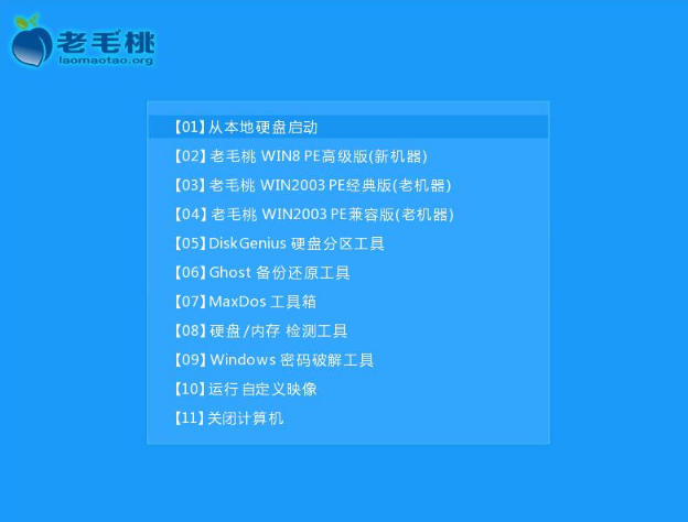 制作老毛桃PE 制作老毛桃PE