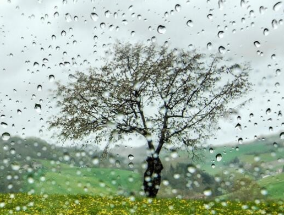 設(shè)置電腦動(dòng)態(tài)桌面 設(shè)置電腦動(dòng)態(tài)桌面