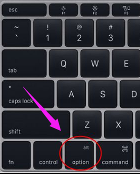 蘋果筆記本 蘋果筆記本