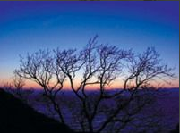 白平衡調(diào)整 白平衡調(diào)整