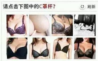 自動程序 自動程序