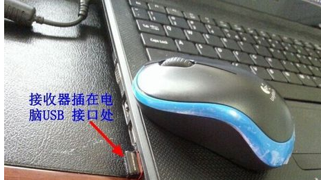 鼠標(biāo) 鼠標(biāo)